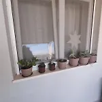 Lemo Apartament *